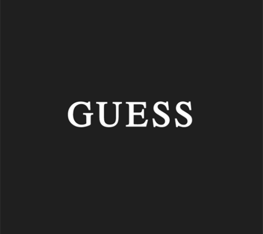 GUESS GUESS